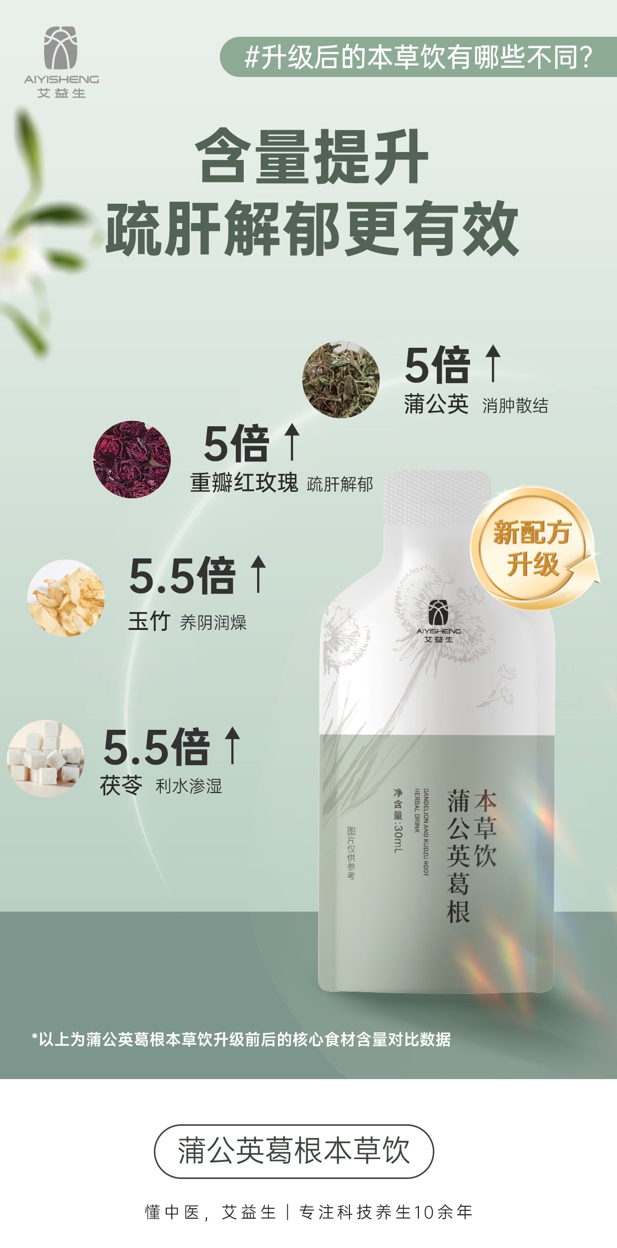 Dandelion Kudzu Root Herbal Drink - Aiyisheng