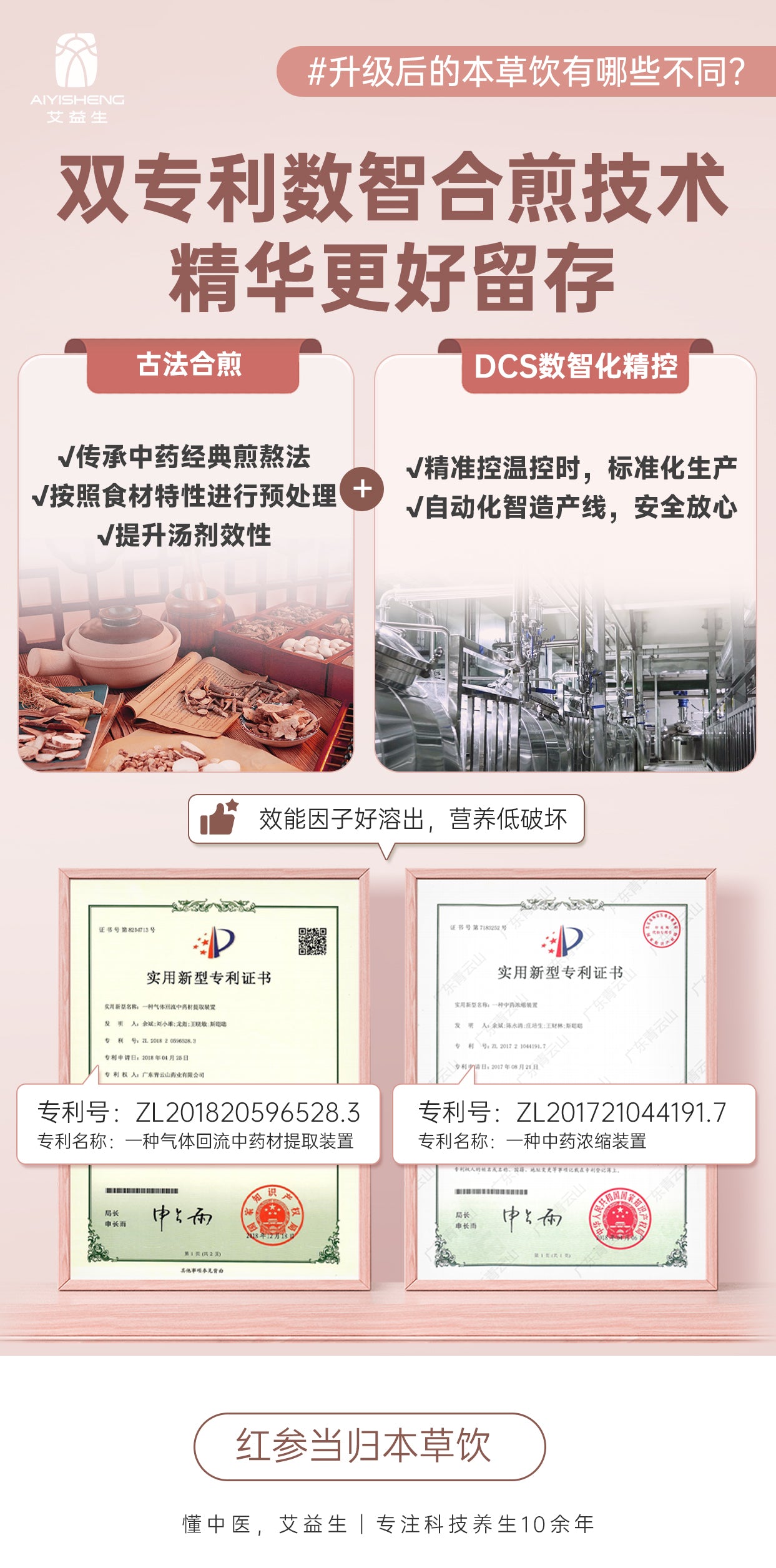 Red Ginseng Angelica Herbal Drink - Aiyisheng