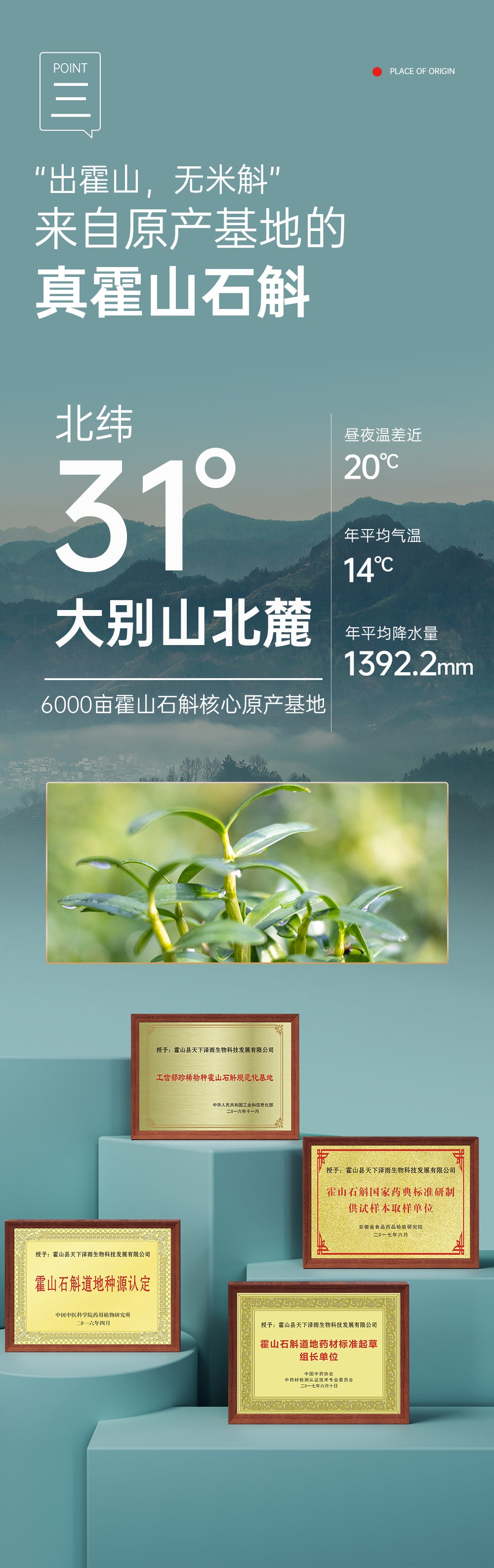 Dendrobium Herbal Drink - Aiyisheng
