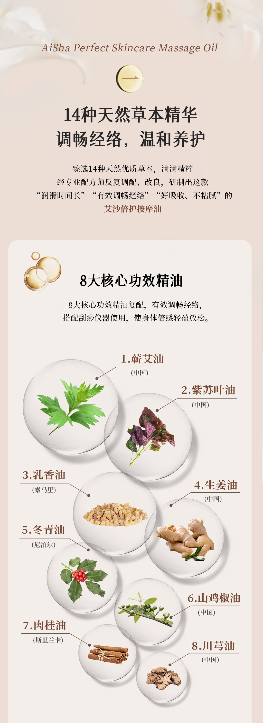 Mugwort Massage Oil - Aiyisheng