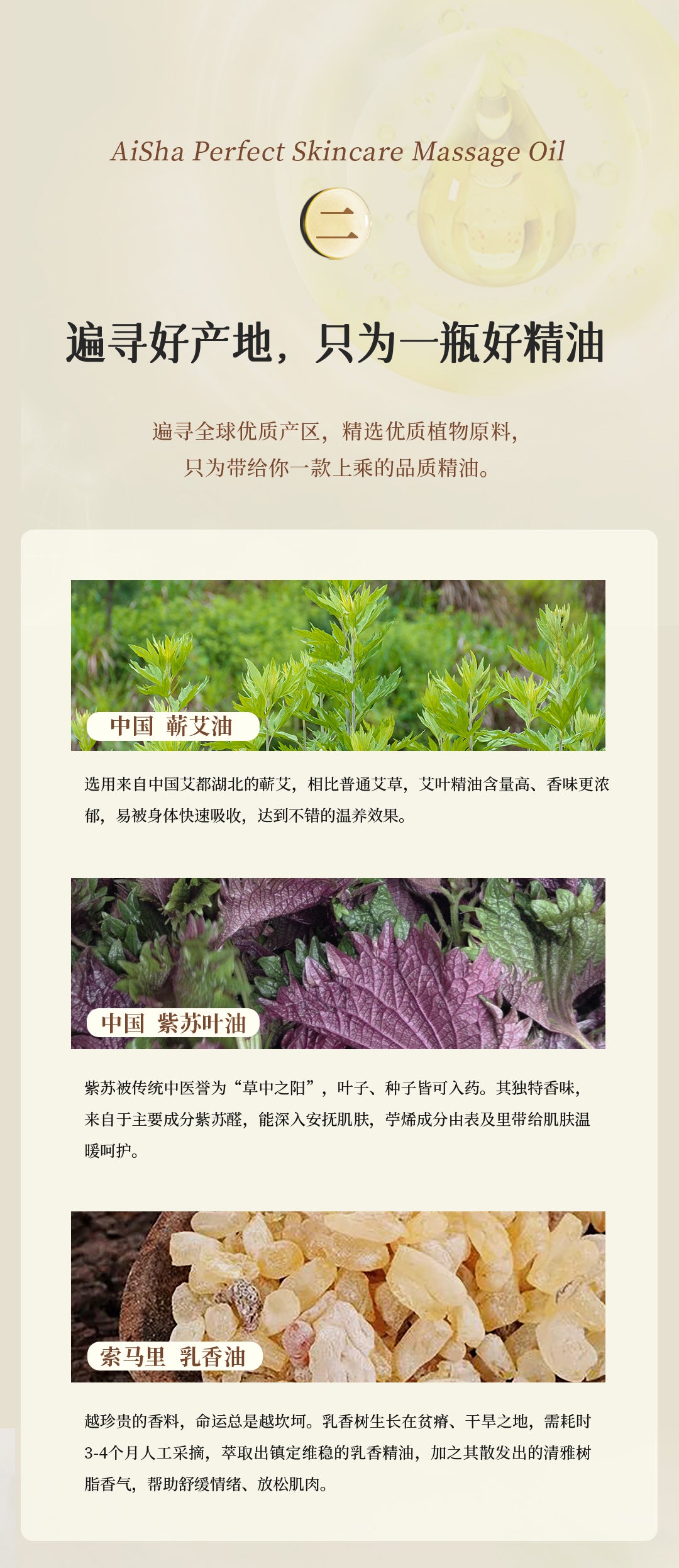 Mugwort Massage Oil - Aiyisheng
