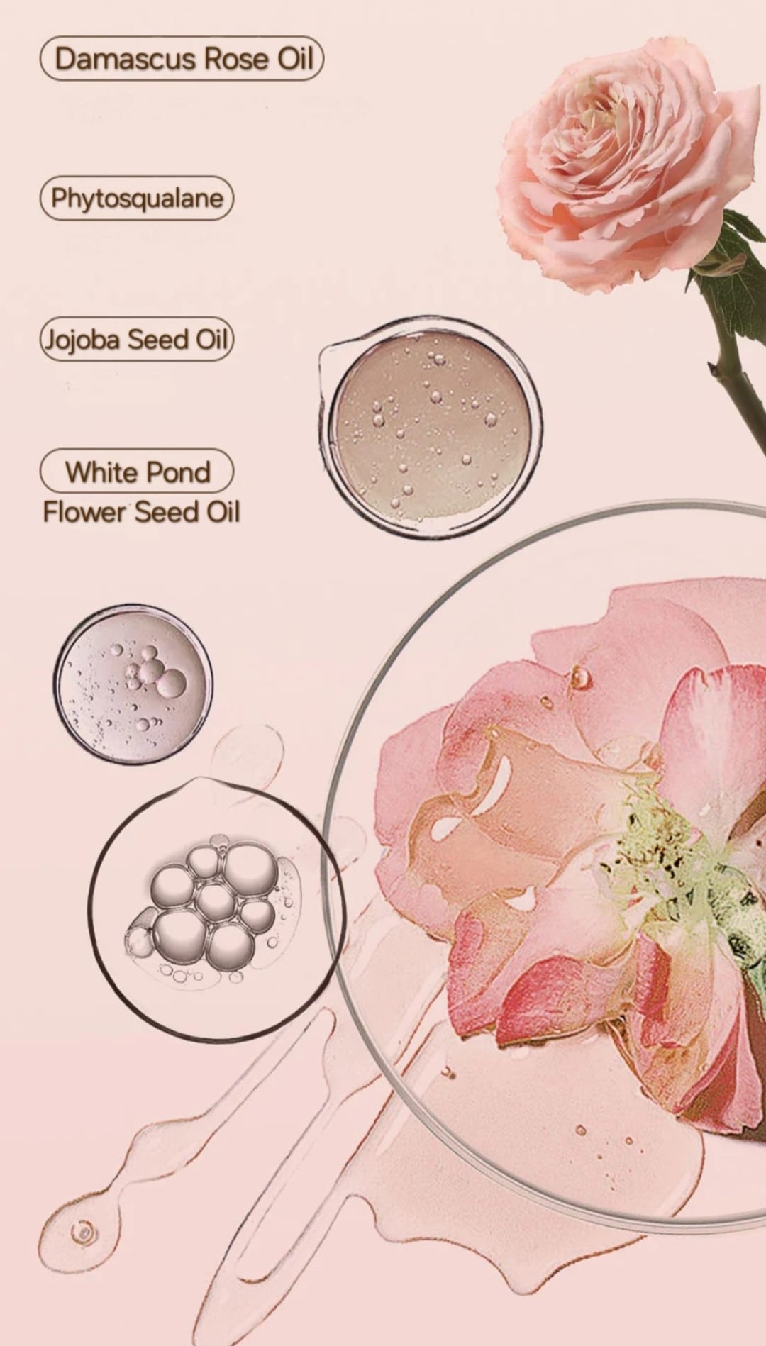 Facial Rose Oil - Aiyisheng