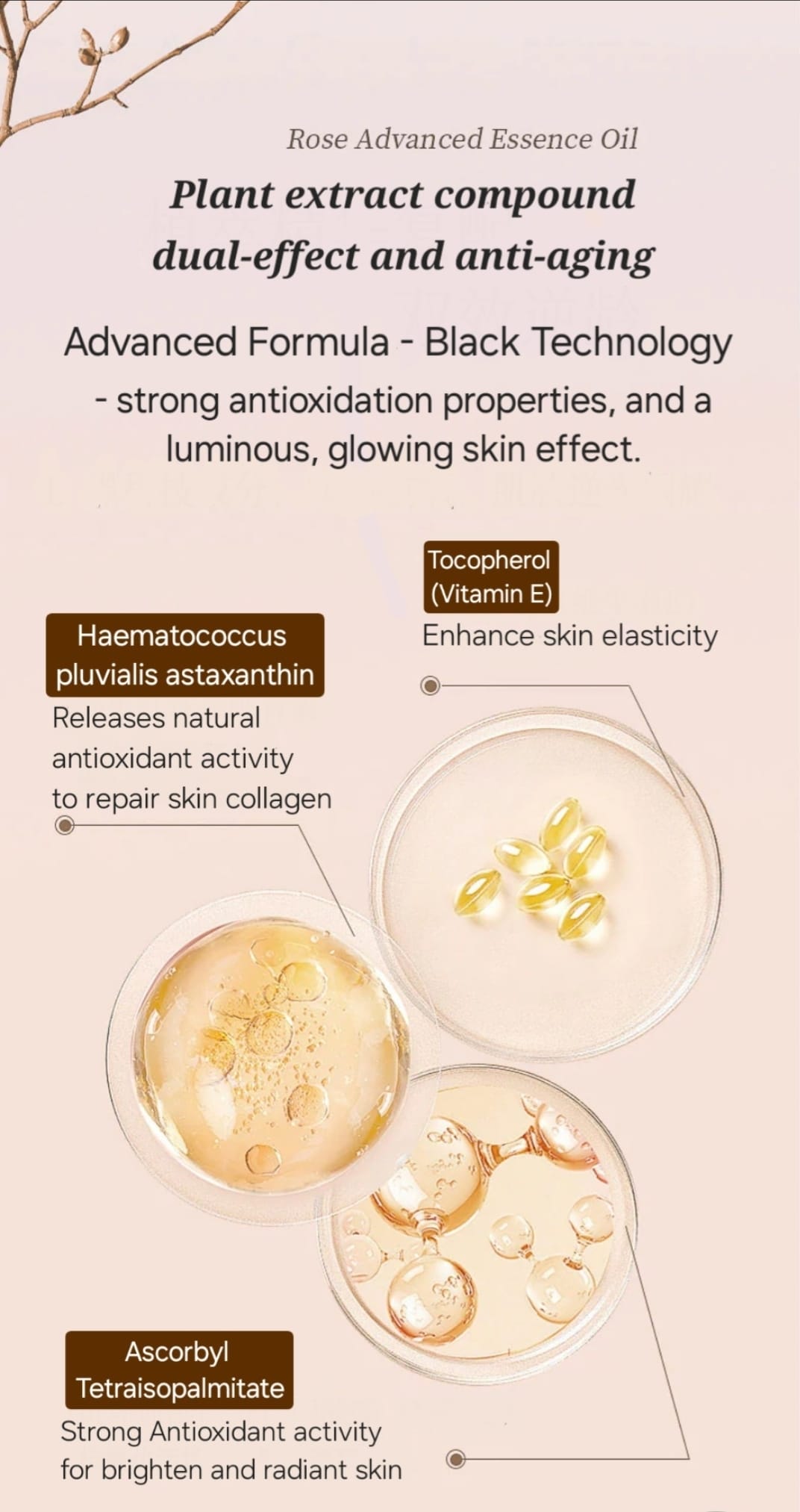 Facial Rose Oil - Aiyisheng