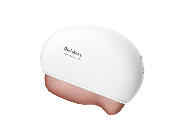 Stone Needle Portable Massage Plate