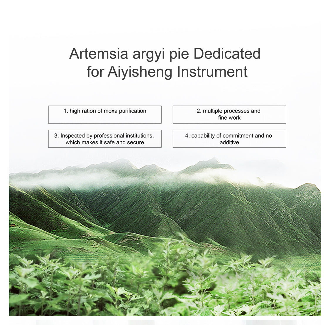 Artemsia Argyi Pie