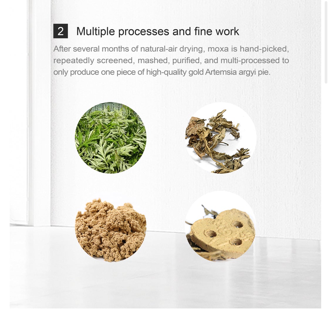 Metal 5 Series of Mugwort Pie - Aiyisheng