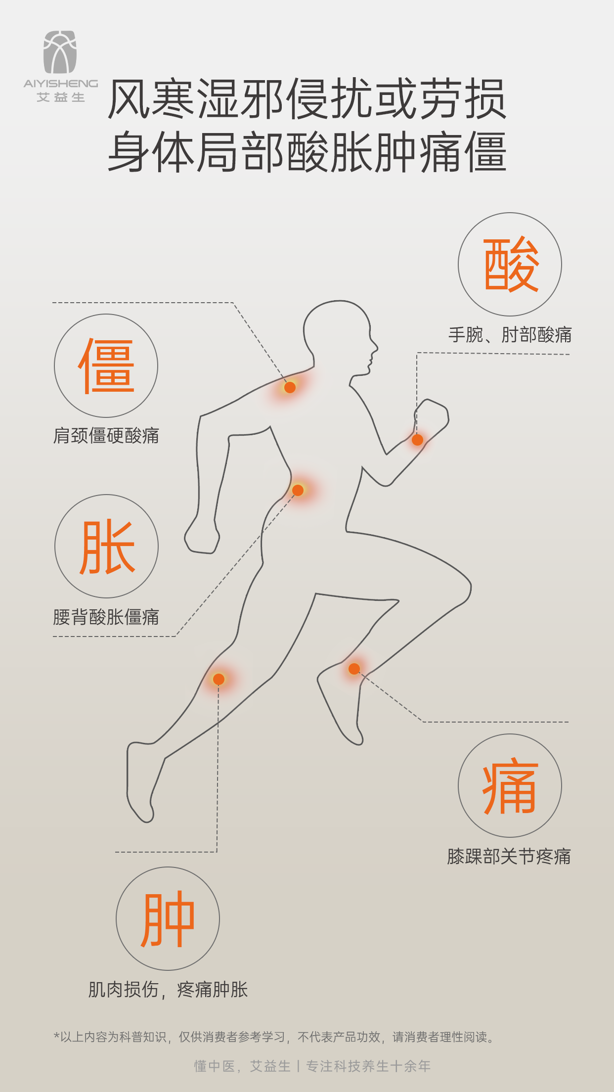 Herbal Relief Patch - Aiyisheng