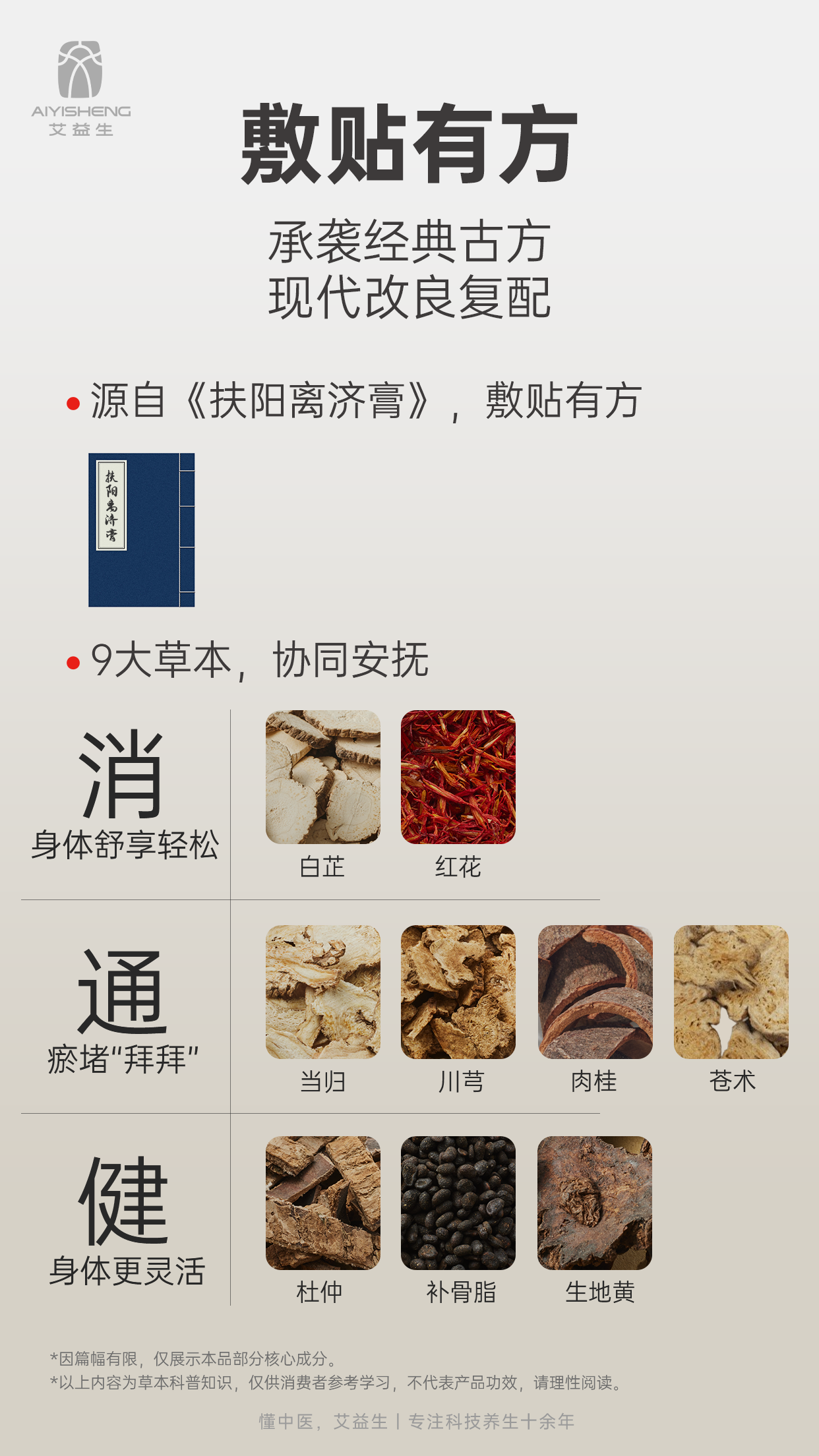 Herbal Relief Patch - Aiyisheng