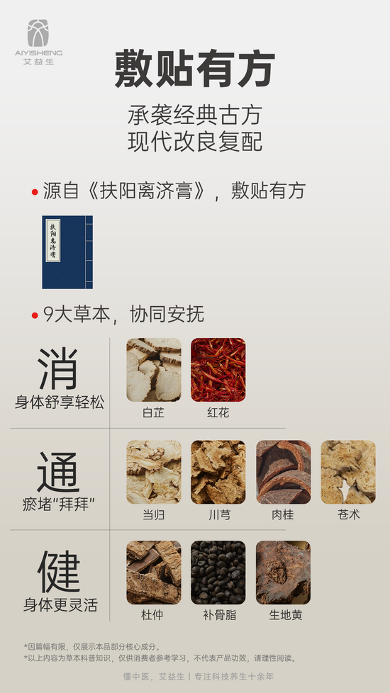 Herbal Relief Patch - Aiyisheng