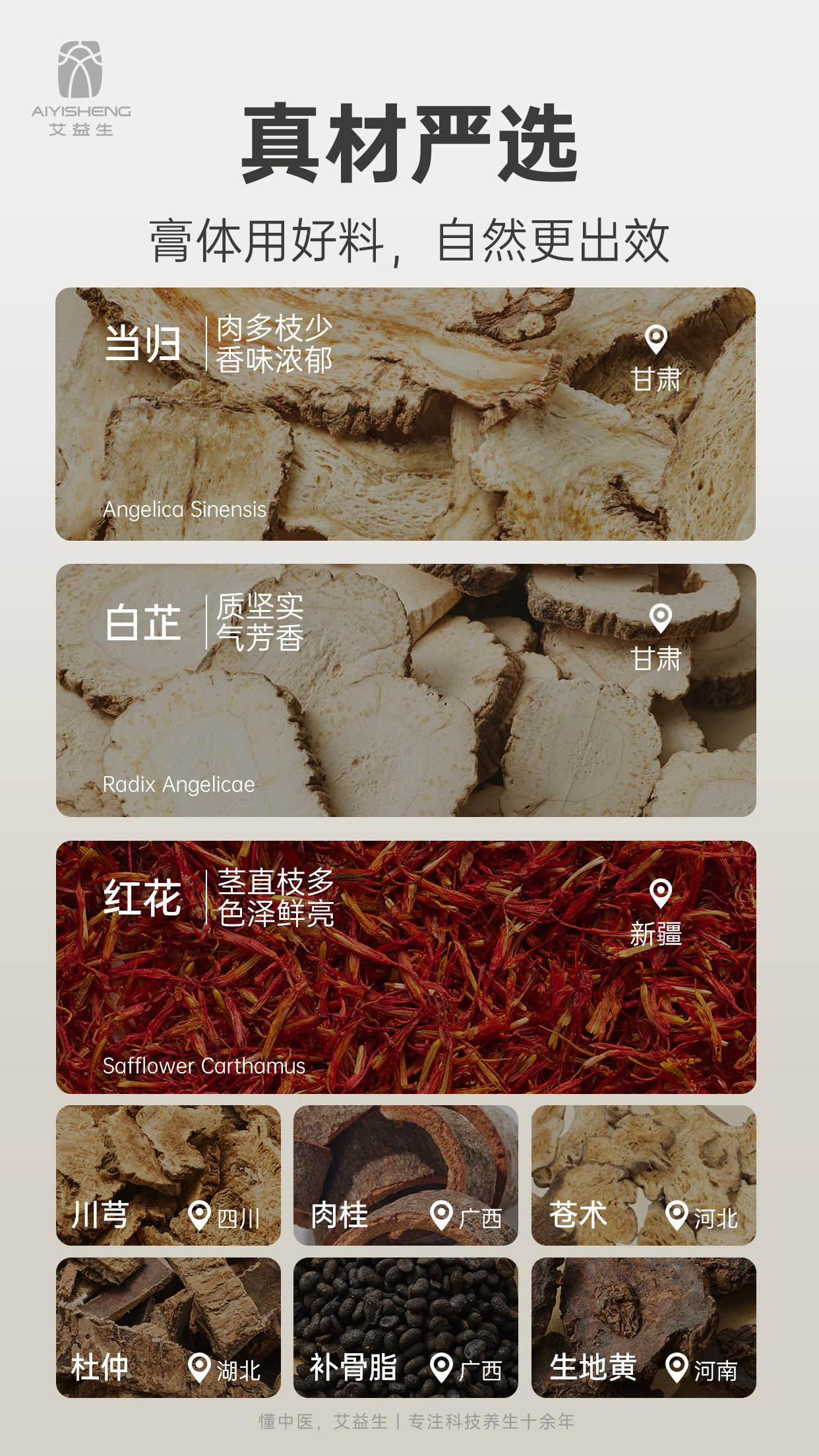 Herbal Relief Patch - Aiyisheng